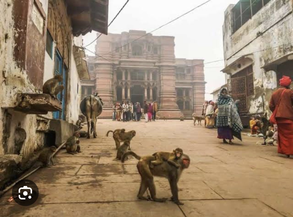 Sacred atmosphere of Vrindavan, India